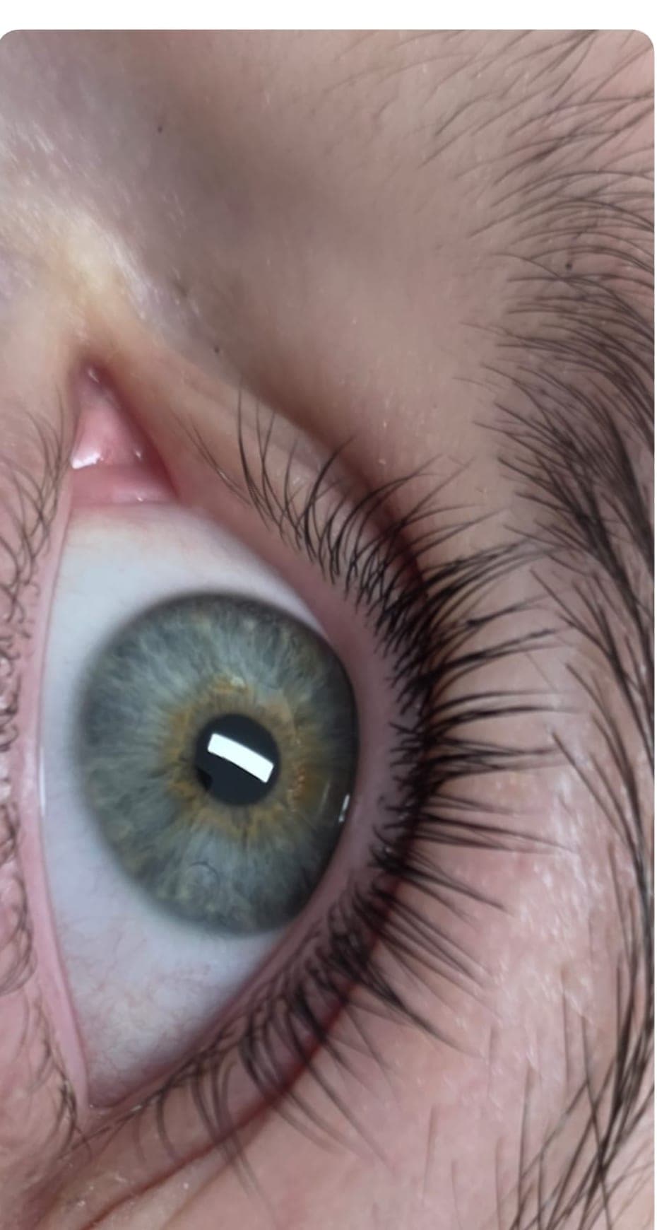 Wimpern nach dem Lashlifting - deutlich voller und länger