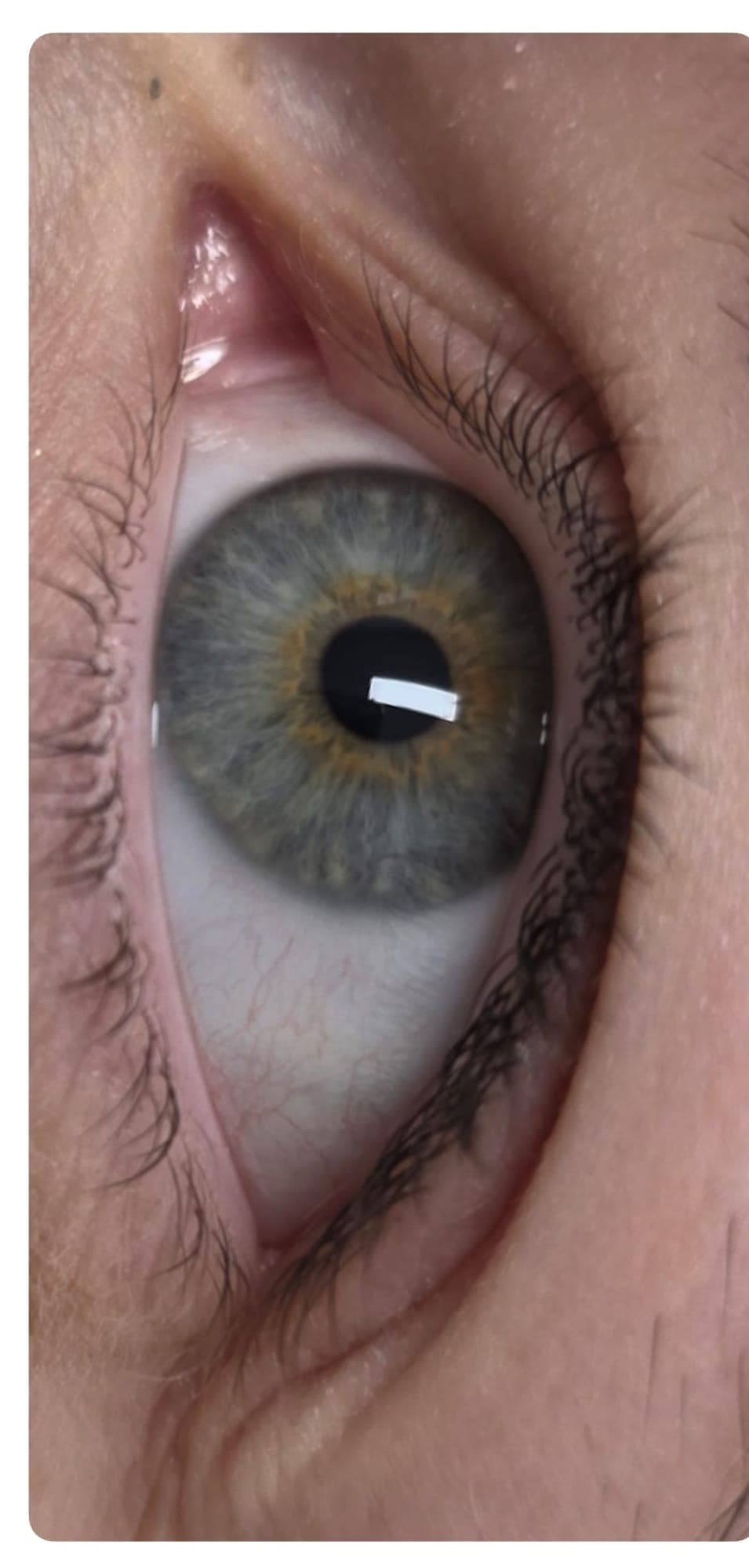 Wimpern vor dem Lashlifting