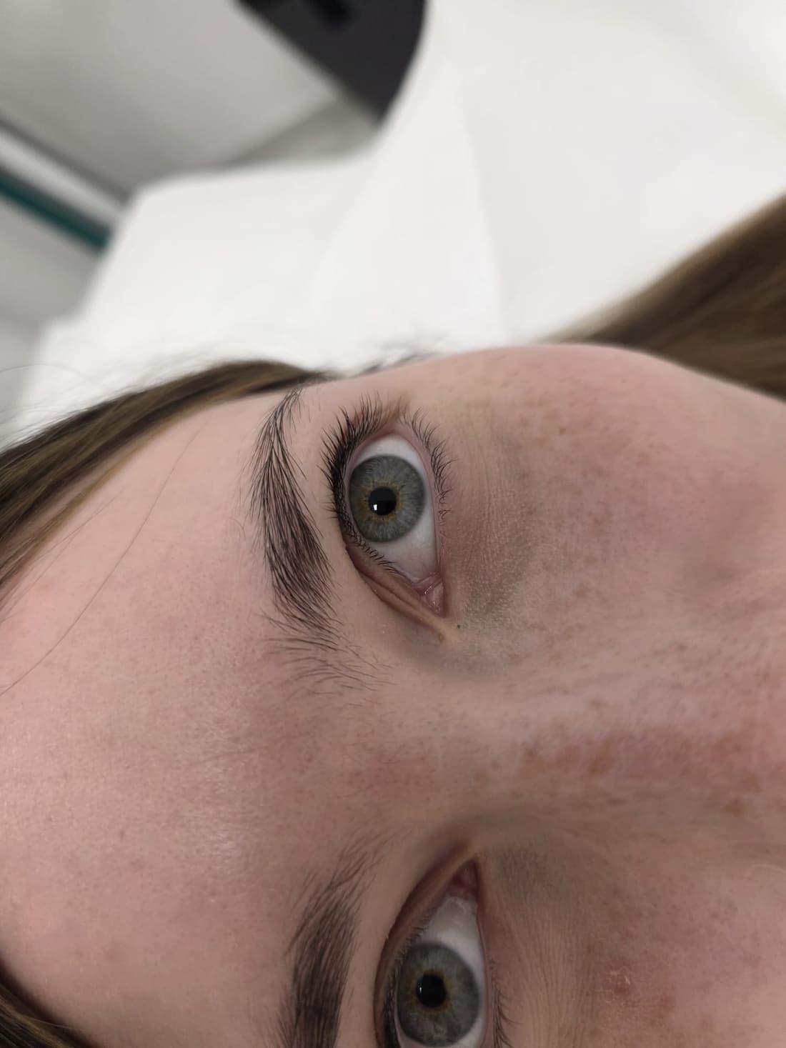 Brow- & Lashlifting - echtes Behandlungsergebnis 1